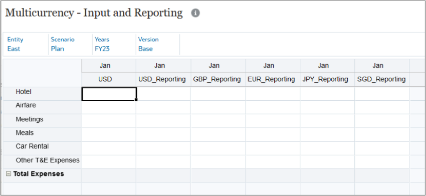 Multicurrency - Input and Reporting form